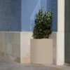 Angular lonec