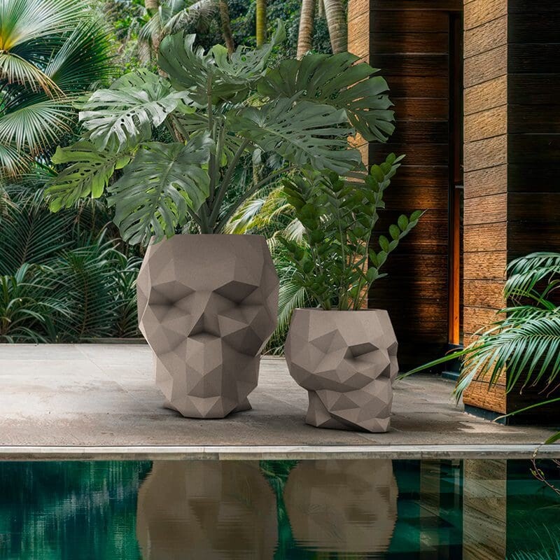 kolekcija Skull