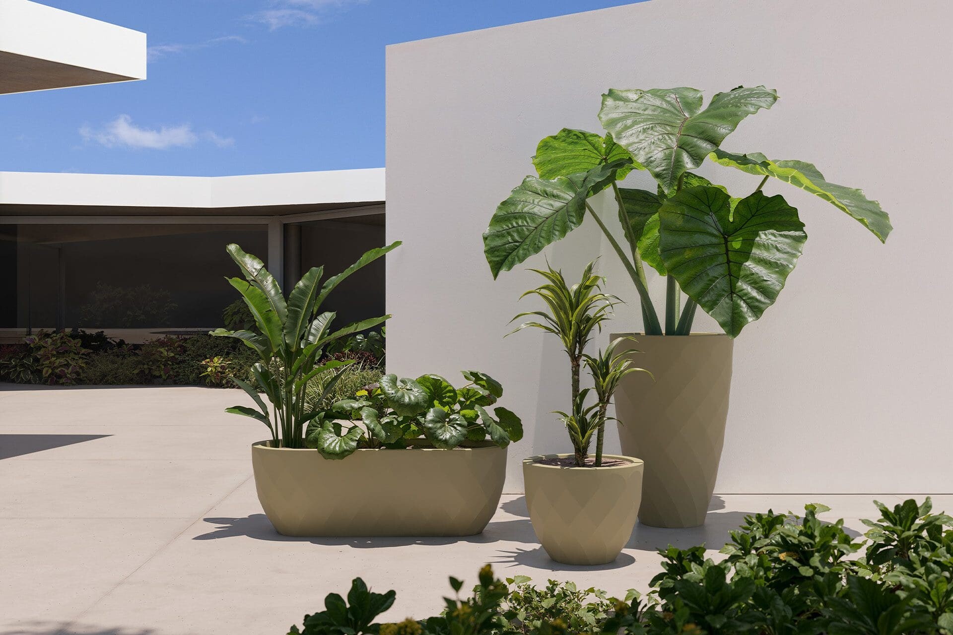kolekcija Vases
