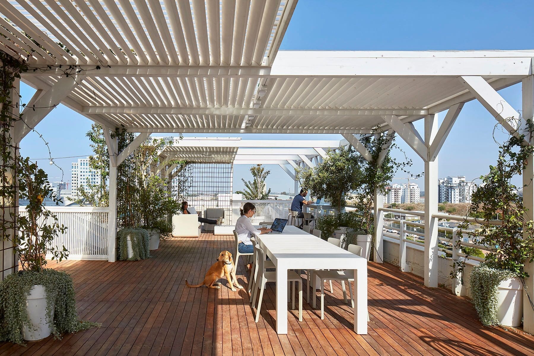Rooftop office