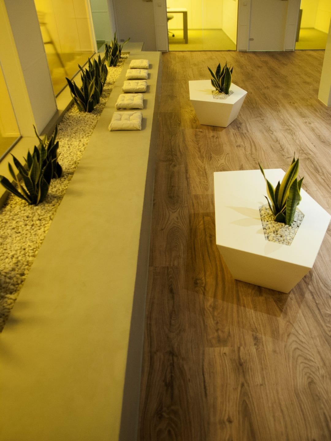 Codiagro Offices