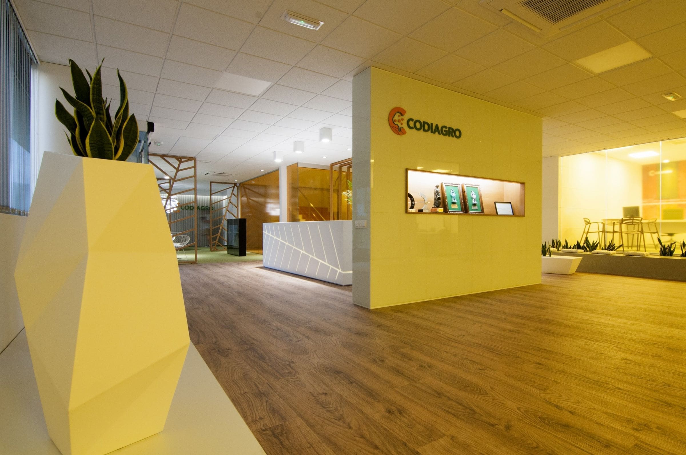 Codiagro Offices
